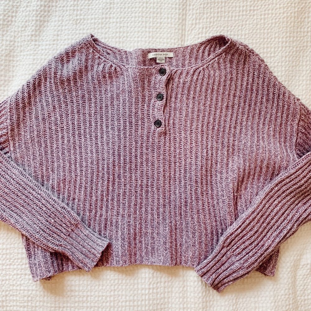 American Eagle Cropped Sweater
